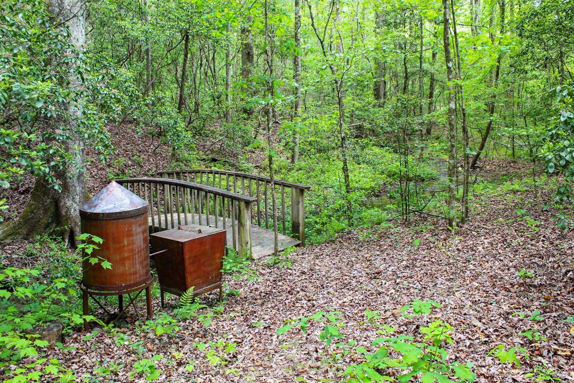 Sautee Nacoochee Mtn Paradise With Spacious Deck! Zewnętrze zdjęcie